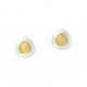 Earrings Silver Goldplated -